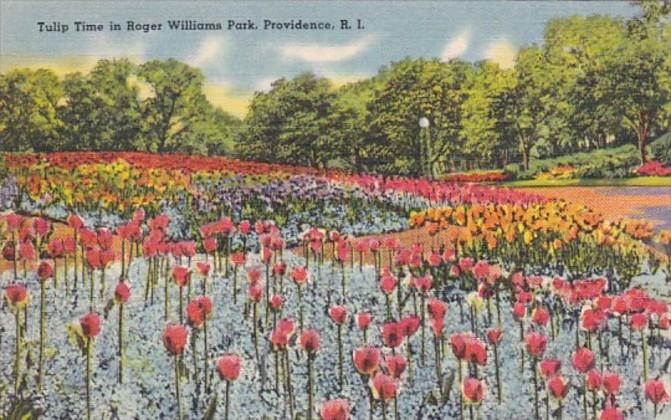 Rhode Island Providence Tulip Time In Roger Williams Park 1940