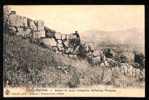 ab3355 - VINTAGE POSTCARD - Rome Province - Palestrina  -
