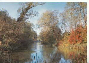 Hampshire Postcard - River Itchen - Alresford - Ref  9621A