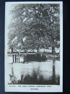 Watford CASSIOBURY PARK The Trout Stream c1920 RP Postcard by Kingsway