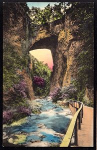 Virginia The Natural Bridge Pub Sunny Scenes Hand-Colored Post Card - Linen