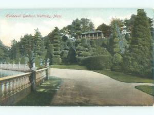 Pre-1907 GARDEN SCENE Wellesley - Near Newton & Boston Massachusetts MA AF7137