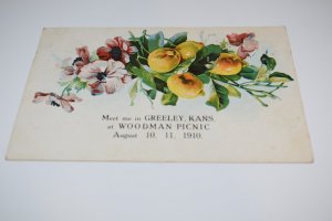 Woodman Picnic Fruit and Flowers Advertising Postcard 1910