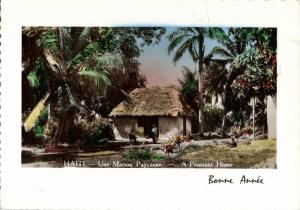 haiti, Peassant Home (1950s) New Year Tinted RP