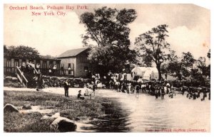 New York City Orchard beach, Pelham Bay park