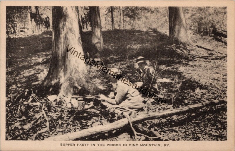 Supper Party in the Woods in Pine Mountain KY Postcard PC256