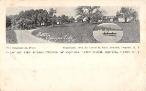 Oquaga Lake New York View Of Farm Row Boat Antique Postcard K22968 