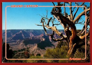 Arizona,  Grand Canyon - Awesome Splendor - [AZ-469X]