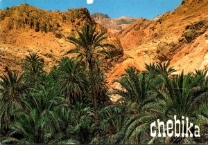 Tunisia Chebika A View Of Paradise 1994