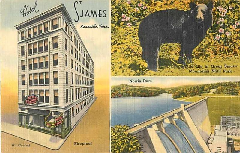 Linen Card of Hotel St. James Knoxville Tennessee TN