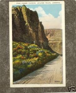 AZ ARIZONA FISH CREEK CANYON APACHE TRAIL Postcard