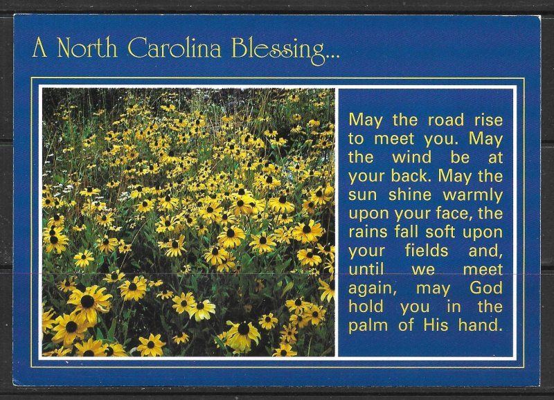 North Carolina - A Gaelic Blessing - [NC-092X]