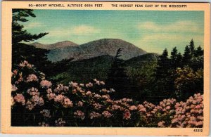 Postcard MOUNTAIN SCENE Mount Mitchell Mississippi MS AO4874