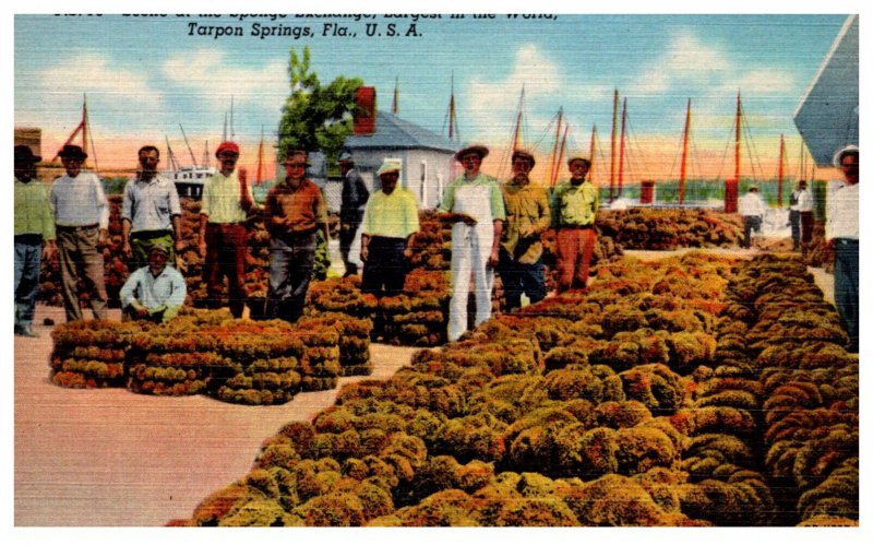 Florida  Tarpon Springs  Sponge Exchange