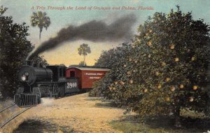 Florida Fruit Express Train Through Orange Orchard Vintage Postcard AA1392