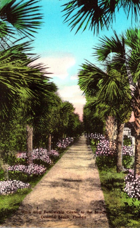 Florida Ormond Beach Walk From Fellowship Center To The Beach Handcolored Alb...