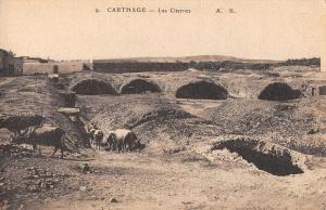 BF9094 les citernes cow carthage tunisia   Tunisia