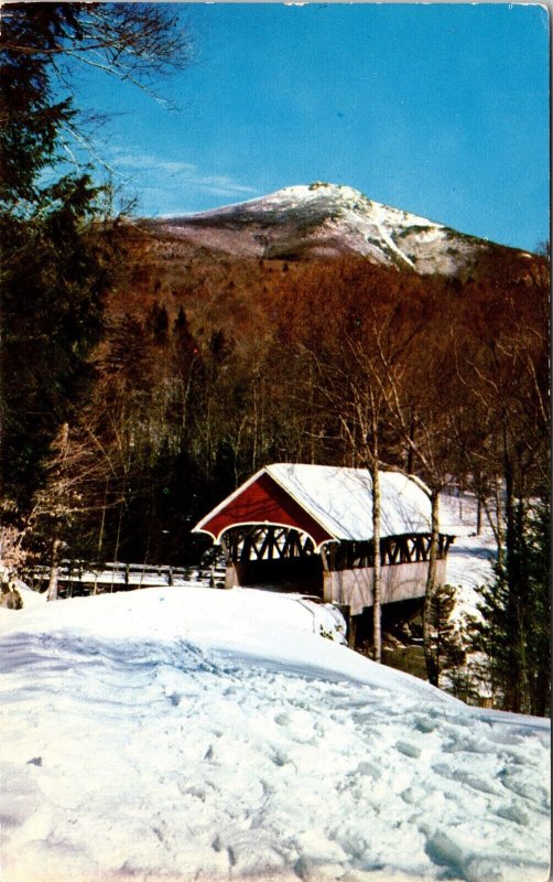 Covered Bridge Flume Franconia Notch New Hampshire NH Postcard PM N Woodstock  