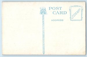 c1910 Seattle Washington Postcard Bird's-Eye View Residence Section Capitol Hill