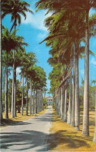 lot 18 codrington college barbados caribbean