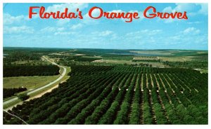 1970's Ariel View Orange Grove Clermont Florida PC2120
