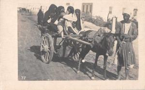 Egypt Street Scene Horse Cart Real Photo Antique Postcard J56003