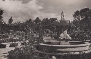 Madrid Retiro Park Rosary Gardens Real Photo Spanish Postcard