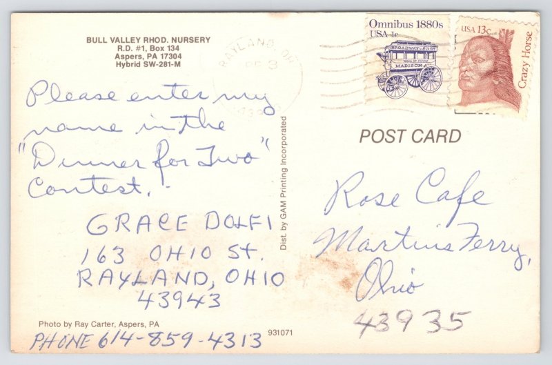 Aspers Pennsylvania~Bull Valley Rhododendron Nursery~Bloom~1960s Postcard