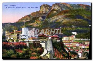 Old Postcard Monaco Palace of Price and Dog Tete