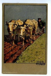 499218 GERMANY Pflugen ploughing BULL Village by I.P.F. 1903 Kohler