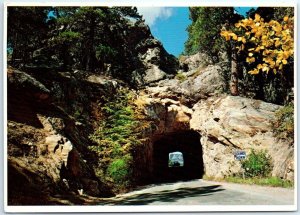 Postcard - Mt. Rushmore viewed from Iron Mt. Road, Black Hills - South Dakota