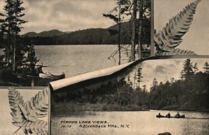 Vintage Postcard 1910's Forked Lake Views Adirondack Mountains New York NY