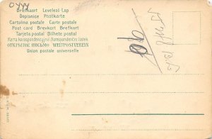 Ship Hold to Light Writing on back 