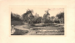 Vintage Postcard Wuustwezel (Grens) Scenic View Of The Border Belgium