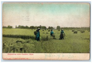 1907 Harvesting Near Fremont Nebraska NE Leigh NE Antique Posted Postcard