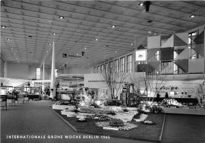 BG15873 internationale grune woche berlin 1965  germany CPSM 14.5x9cm