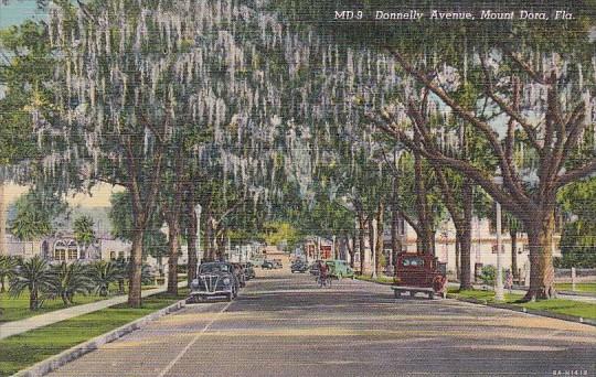 Florida Mount Dora Donnelly Avenue 1953 Curteich