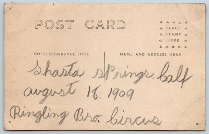 RPPC c1909 Shasta Springs CA Shasta Limited Southern Pacific Railroad Station