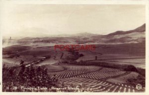 1940 RPPC - PINEAPPLE FIELDS - HAWAIIAN ISLANDS