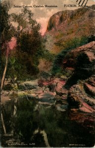 Sabino Canyon Catalina Mountains Tucson Arizona Hand Colored 1911 DB Postcard A4 