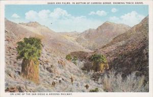 Arizona Oasis and Palms In Bottom Of Carriso Gorge