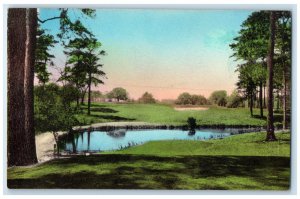 View Of Yeamans Hall Fairway And Water Hazard Charleston SC Handcolored Postcard 