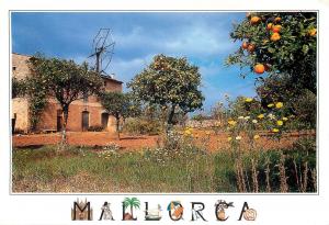 Spain Mallorca rural mallorquin landscape attractive butterfly stamp