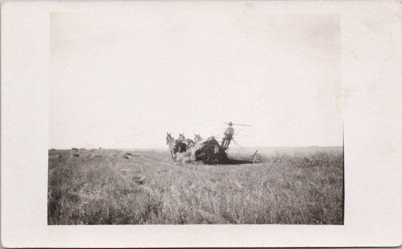 Farmer Farming The Land Harvesting Agriculture Unknown Location AZO Postcard F91