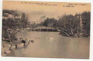 BR101093 the kocho pond in tsurumai park nagoya many water fouls   japan