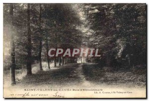 Old Postcard Saint Valery en Caux Wood Etennemare