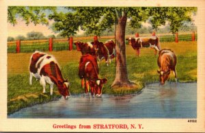 New York Greetings From Stratford