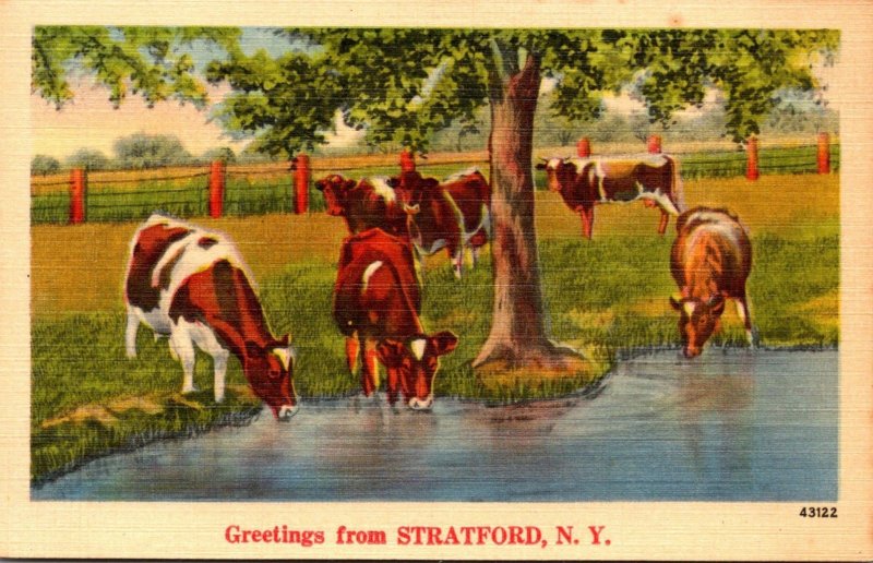 New York Greetings From Stratford