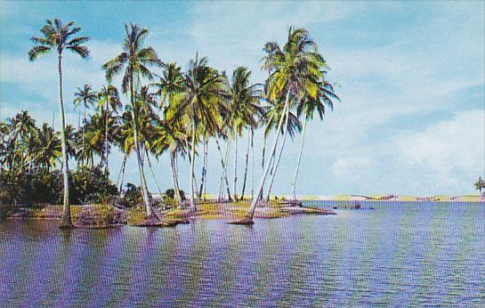 Singapore Bedok Beach