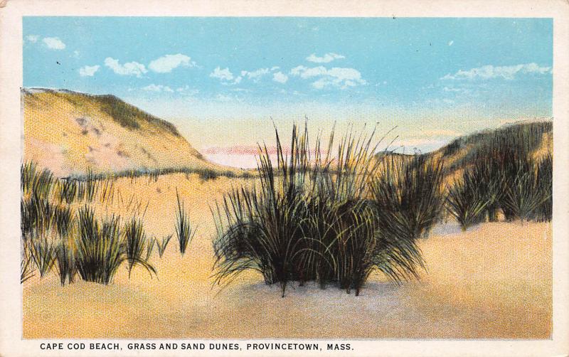 Cape Cod Beach, Grass and Sand Dunes, Provincetown, MA, Early Postcard, Unused